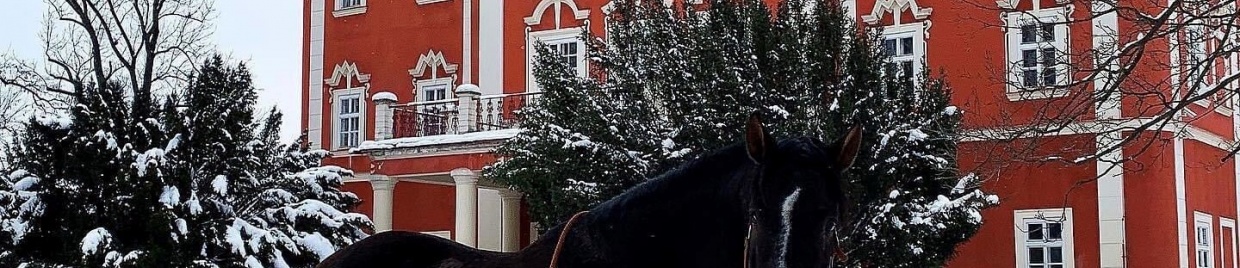 VÁNOČNÍ MARKET V ZÁMECKÉM PARKU 16.12.
